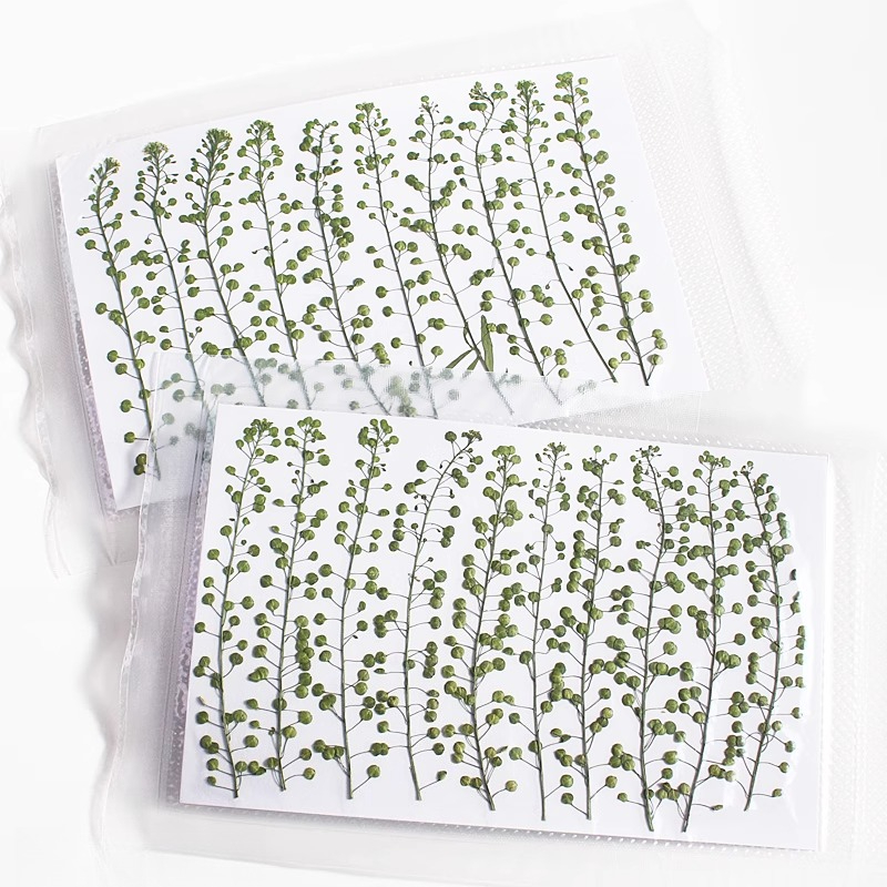 Natural Color Green Bell Grass - Photo Frame Baby recension och pris