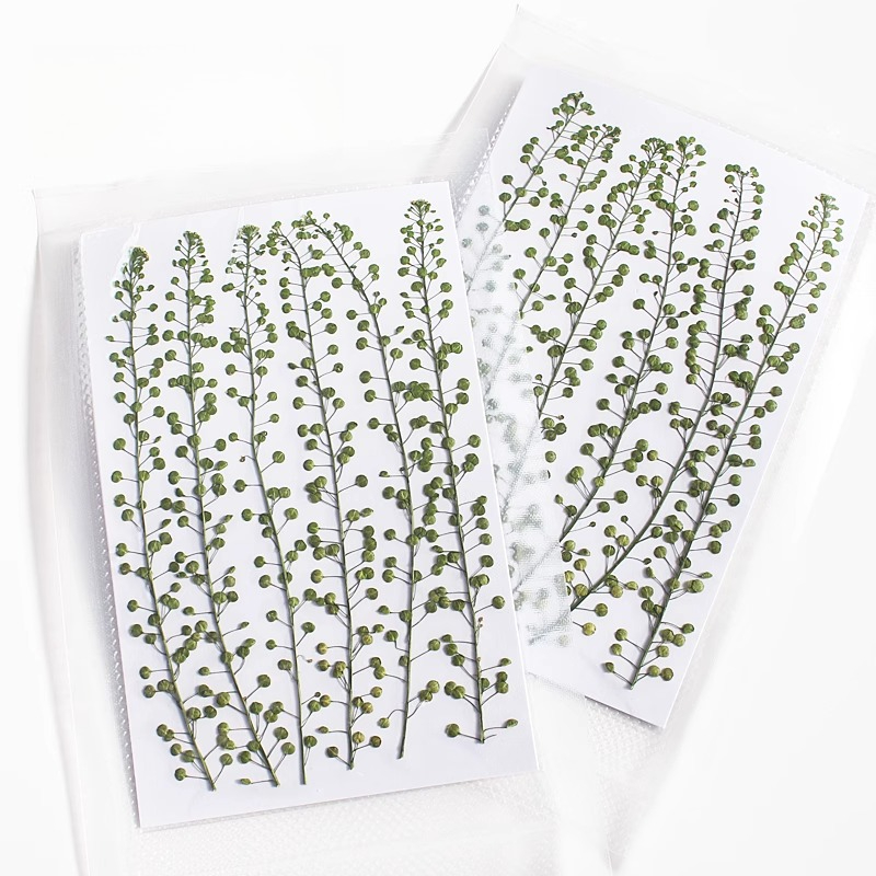 Natural Color Green Bell Grass - Photo Frame Baby recension och pris