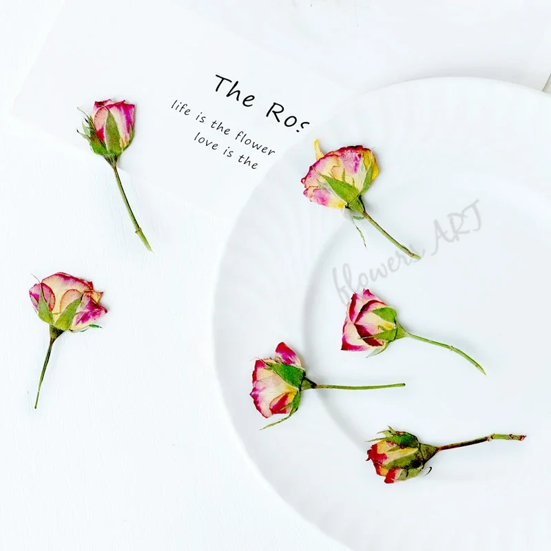 Pressed Rose Bud Flower Petals - Photo Frame Baby recension och pris