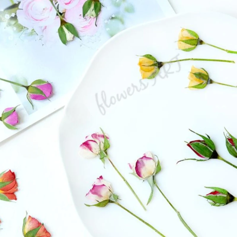Pressed Rose Bud Flower Petals - Photo Frame Baby recension och pris