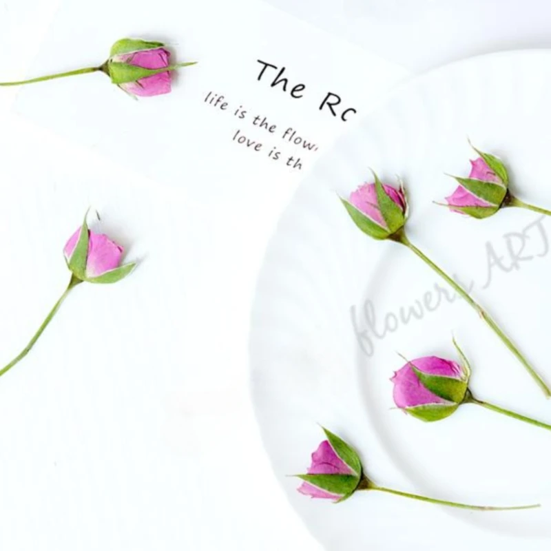 Pressed Rose Bud Flower Petals - Photo Frame Baby recension och pris