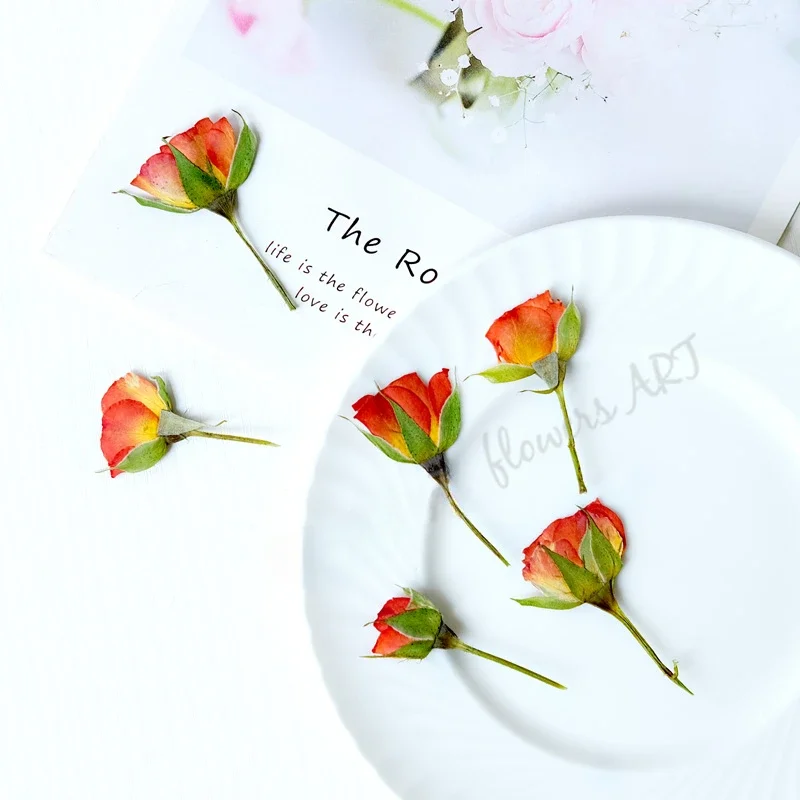 Pressed Rose Bud Flower Petals - Photo Frame Baby recension och pris