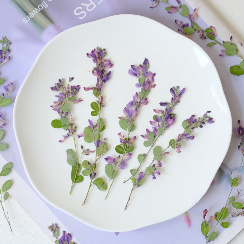 6pcs,nature Lespedeza Formosa  - Photo Frame Baby recension och pris