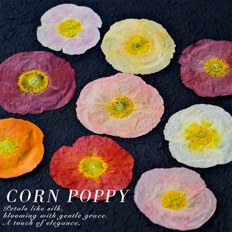 1pcs,Nature Field Poppy Presse - Photo Frame Baby recension och pris