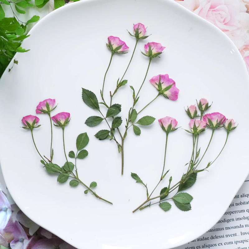 12pcs,Mini Pink Rose Pressed F - Photo Frame Baby recension och pris