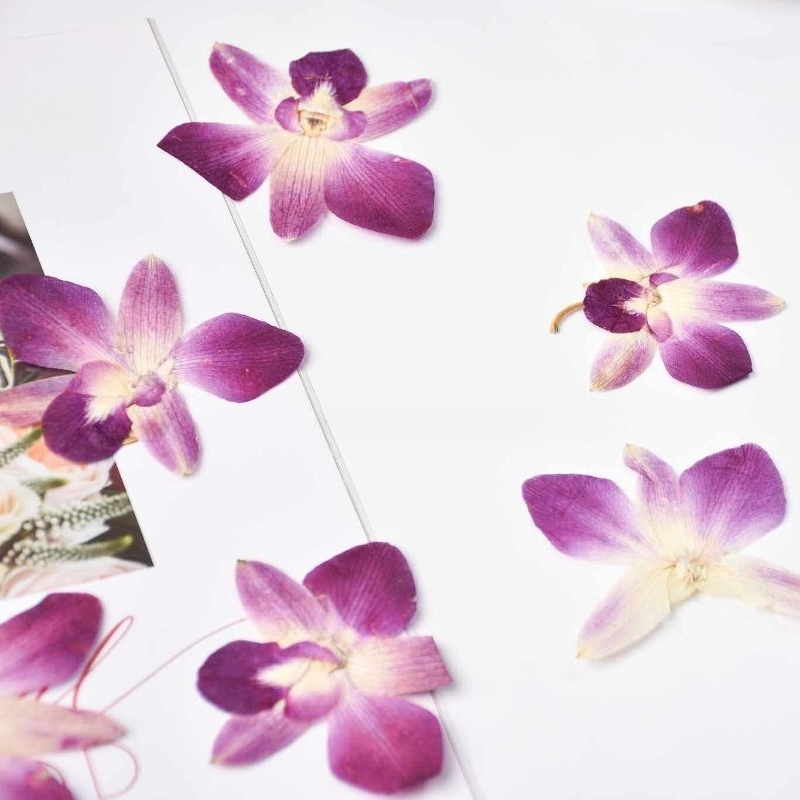 4pcs,Real Pressed Butterfly Or - Photo Frame Baby recension och pris
