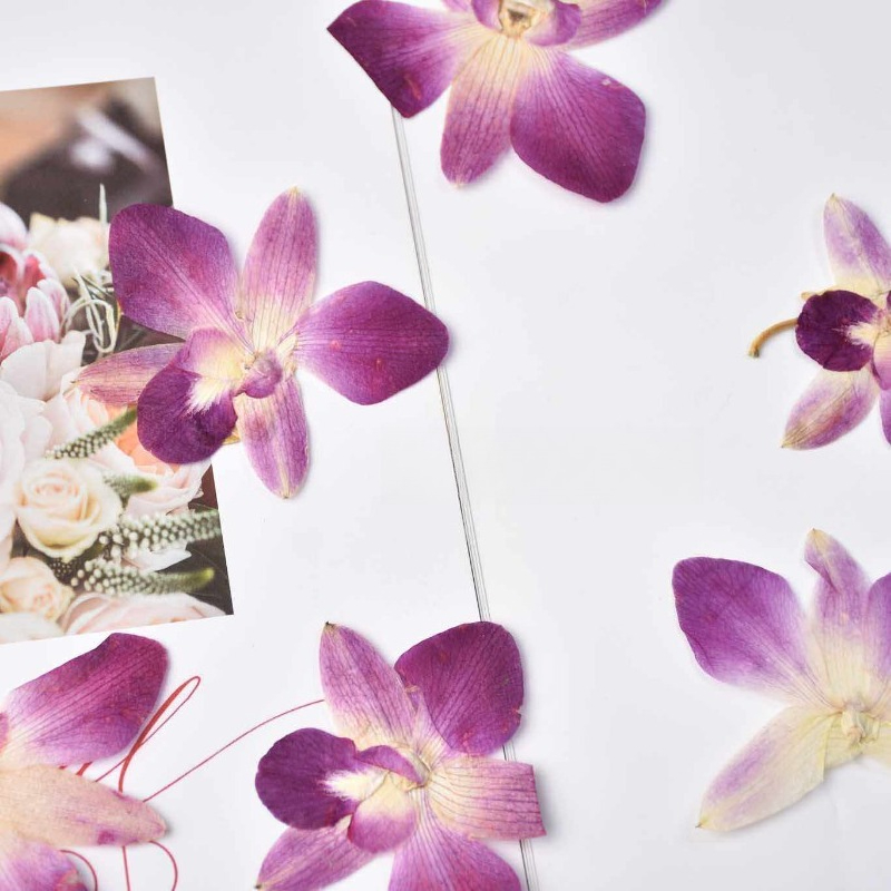 4pcs,Real Pressed Butterfly Or - Photo Frame Baby recension och pris