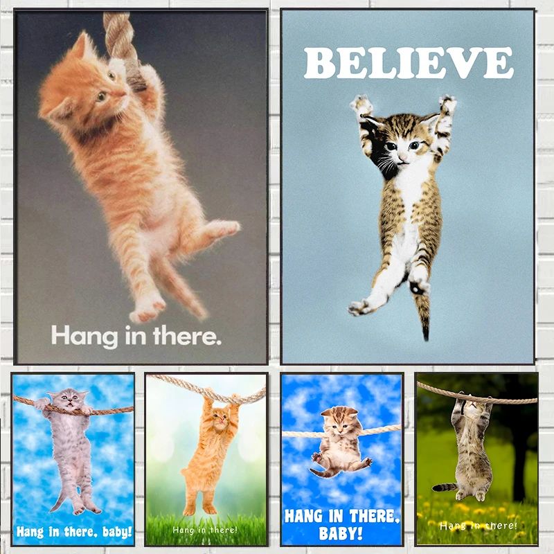 Hang In There Baby Cute Cat Yo - Baby Nursery Images recension och pris