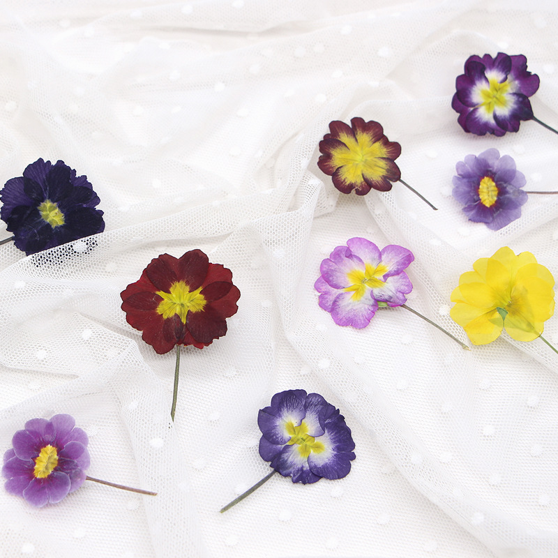 48Pcs European Primrose Teachi - Photo Frame Baby recension och pris