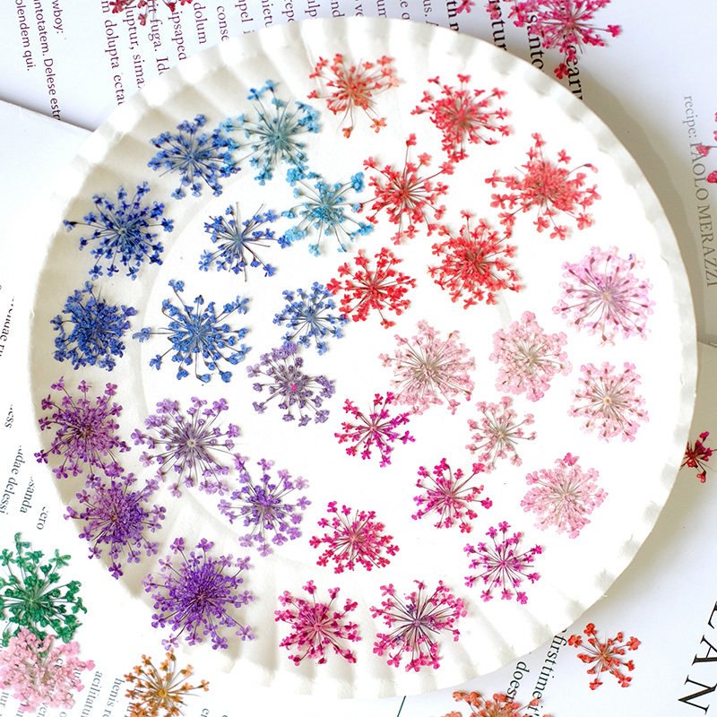 24pcs, 2-2.5cm, Nature Dyed Mi - Photo Frame Baby recension och pris