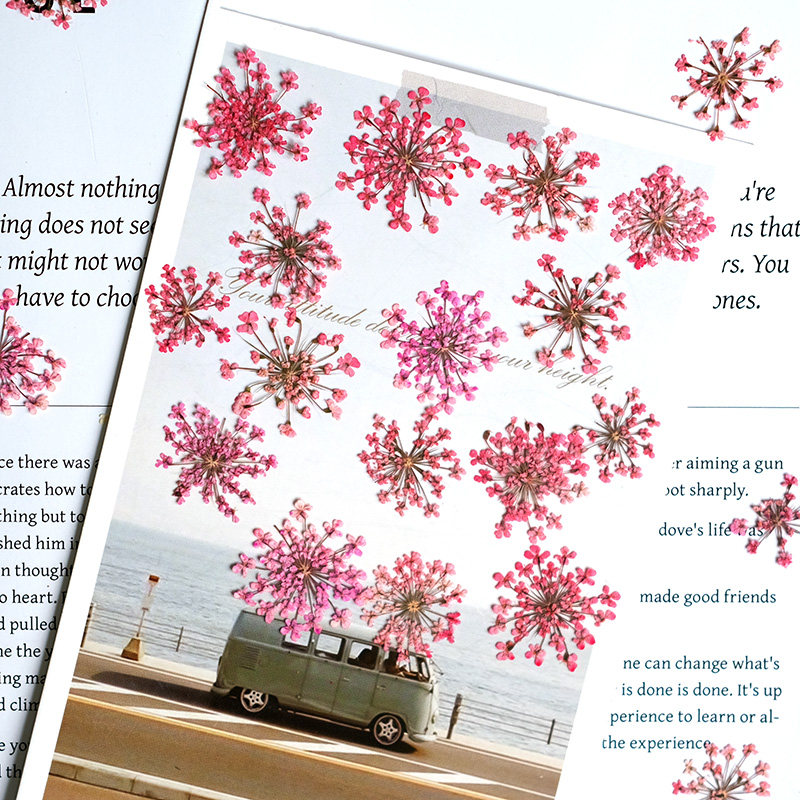 24pcs, 2-2.5cm, Nature Dyed Mi - Photo Frame Baby recension och pris