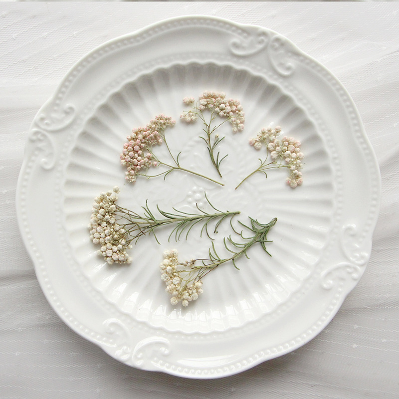 12pcs, Nature Millet Flower Br - Photo Frame Baby recension och pris