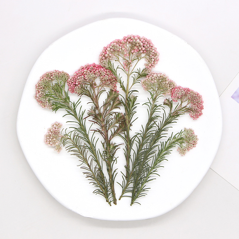 12pcs, Nature Millet Flower Br - Photo Frame Baby recension och pris