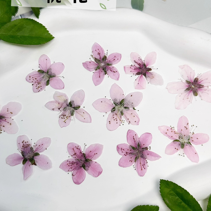 12pcs,Nature Peach Blossom Pre - Photo Frame Baby recension och pris