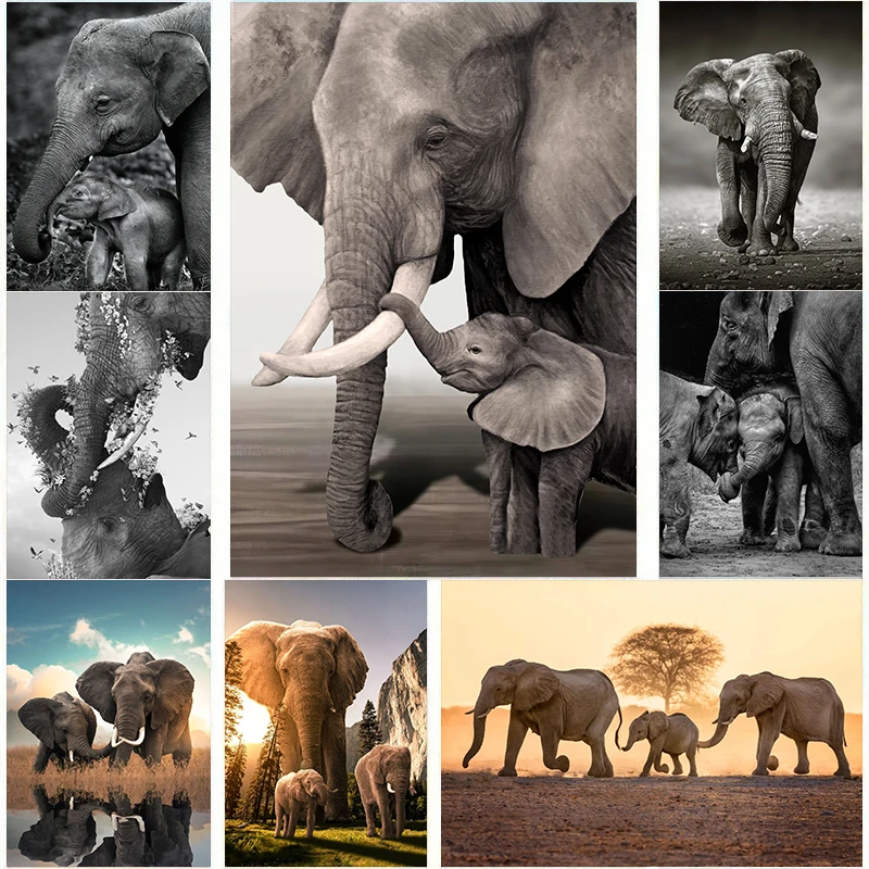 Wildlife Elephant Family Poste - Baby Nursery Images recension och pris