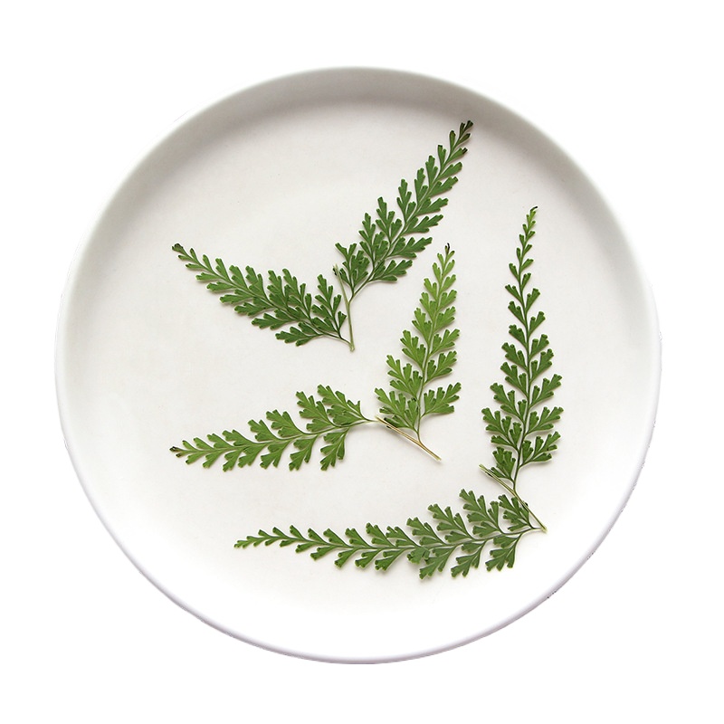 Nature Pressed Fern Branches,d - Photo Frame Baby recension och pris